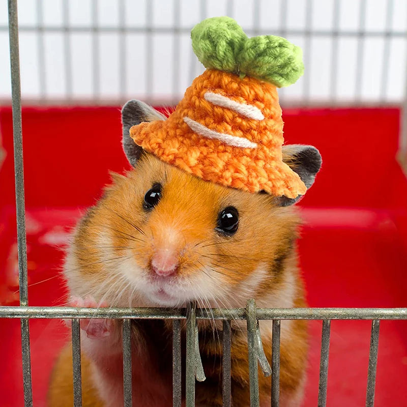 Hamster Hat Guinea Pigs Accessories Small Animals Decor Hand Knitted Pet Hats Lizard Bird Rabbit Party Clothes Costume Pet Caps