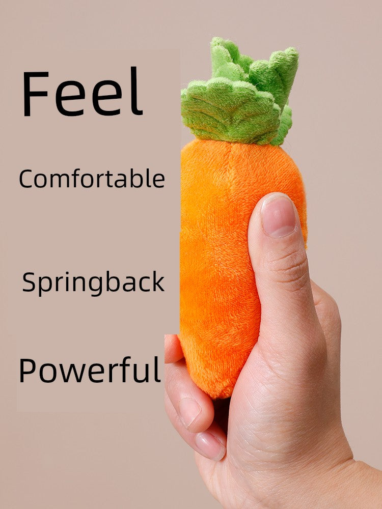 Self-Hi Relieving Stuffy Carrot Garden