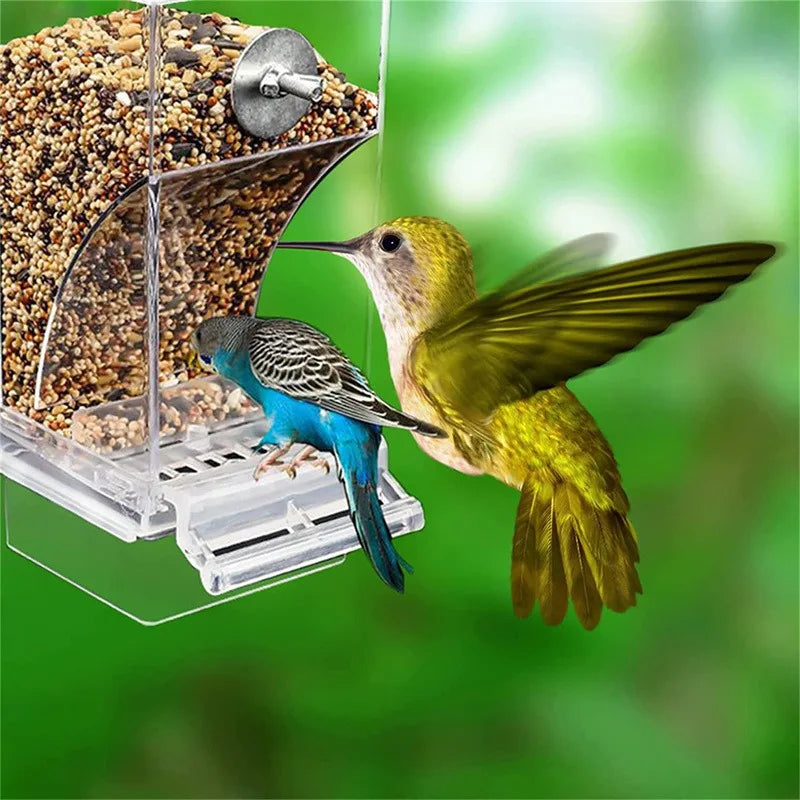 Bird Feeders Automatic Parrot Feeder Drinker Acrylic Seed Food Container Cage Accessories For Small And Medium Parakeets