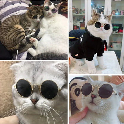 Pet Cat Dog Glasses Pet Products for Little Dog Cat Eye Wear Dog Sunglasses