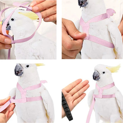 Parrot Flying Harness Leash Suit Pet Bird Outdoor Flight Training Rope