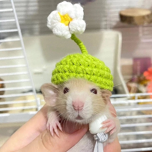 Cute Handmade Knitted Hat Hamster Decoration Chipmunk Guinea Pig Hamster Accessories Hamster Toy Hamster Supplies Small Pet Hat