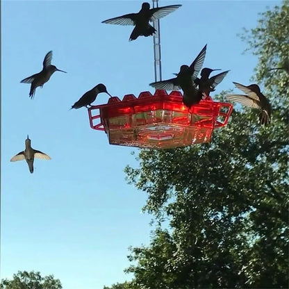 Hummingbird Feeders for Outdoors Hanging