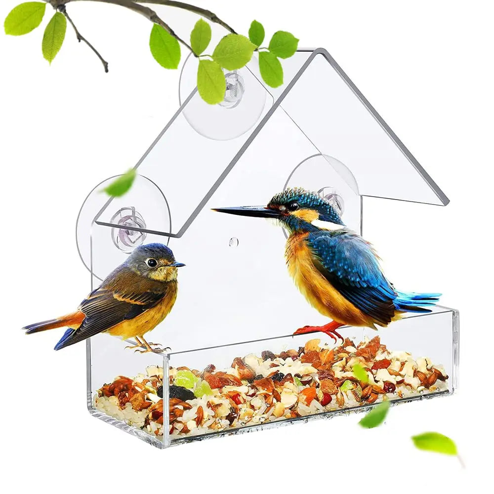 Window Wild Bird Feeder House