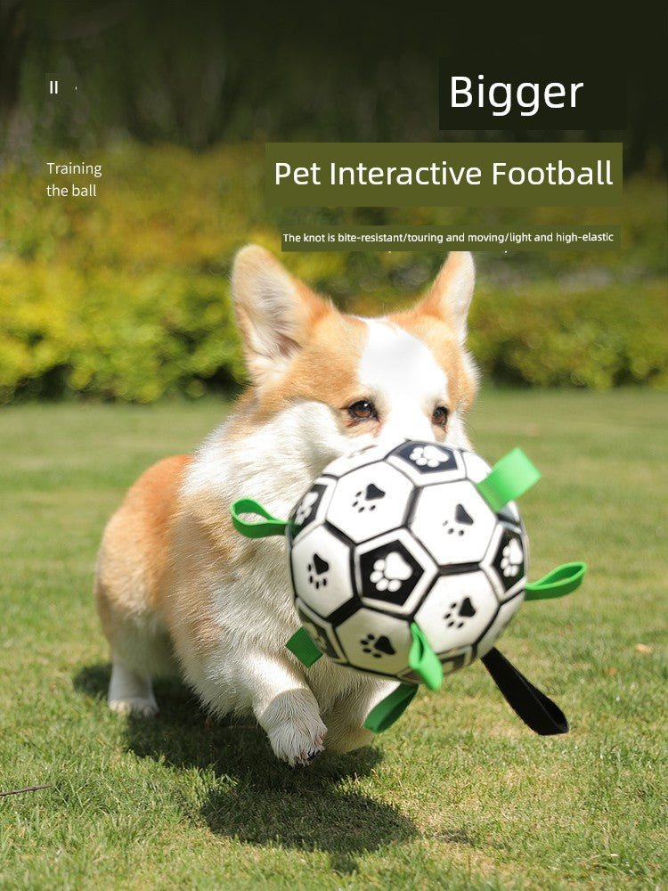 Interactive Ball Training Toy