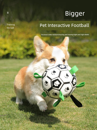 Interactive Ball Training Toy