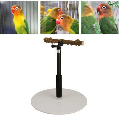 Adjustable Bird Perch Portable Detachable Play Stand for Indoor Outdoor Traveling