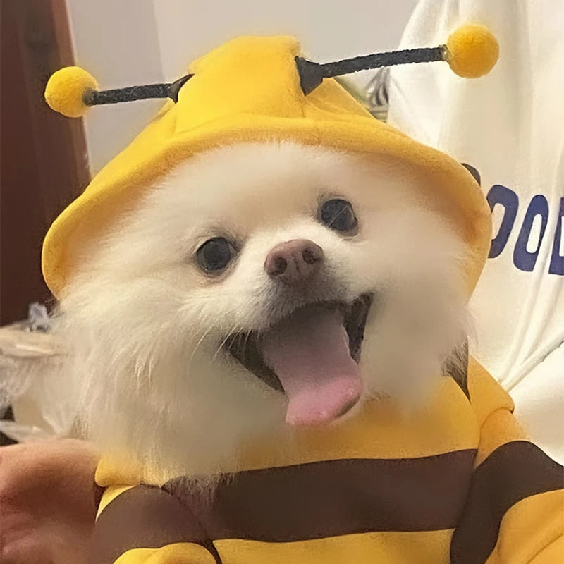 Bee Pet Puppy Coat Apparel Outfit Fleece Clothes