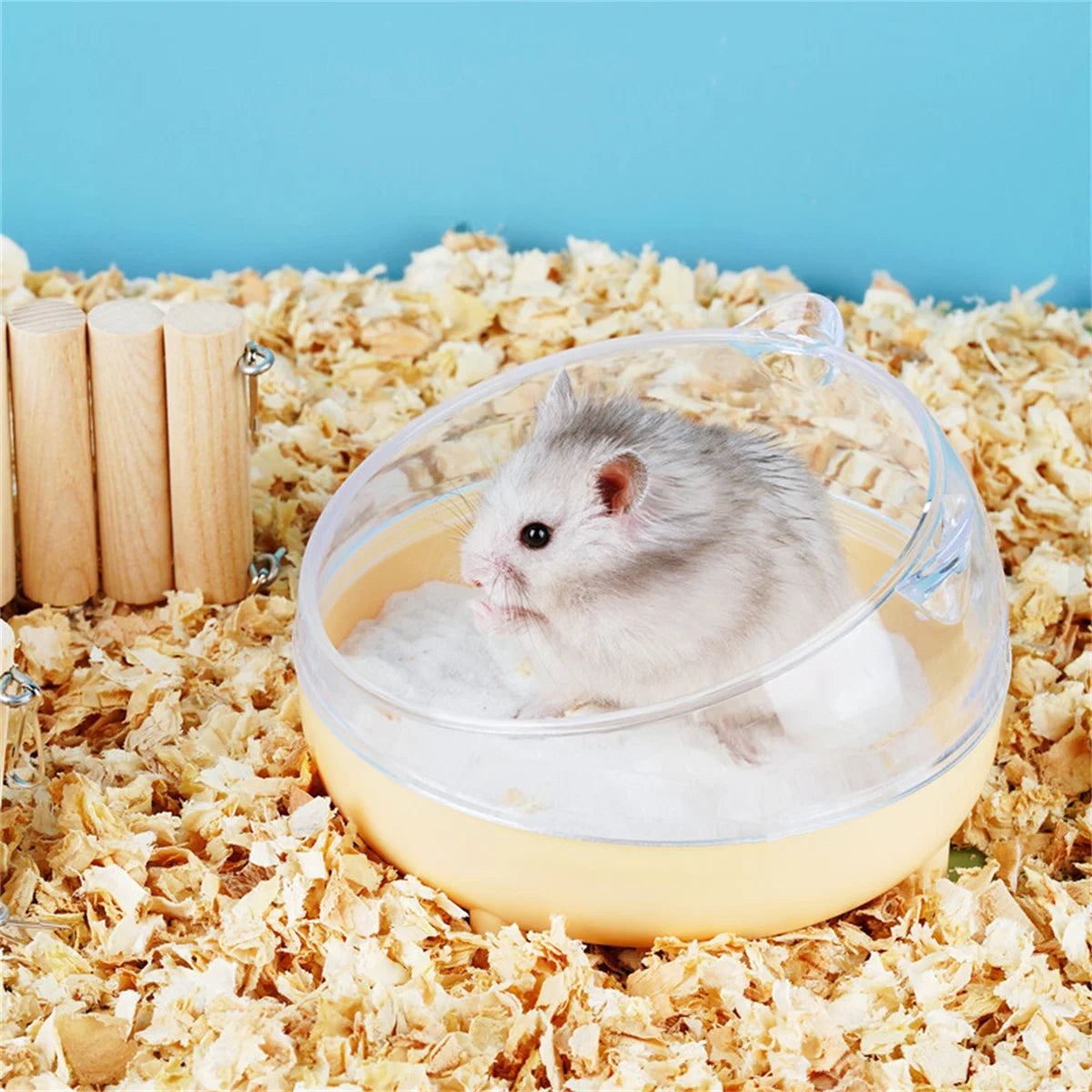 Hamster Bathroom House Sandbox Full Transparent Urine Sand Basin Golden