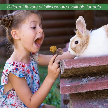 1pc Bunny Chew Toy Lollipop of Teeth Natural Apple Wood Stick With Timothy Flower For Rabbits Chinchilla Hamsters Guinea Pigs