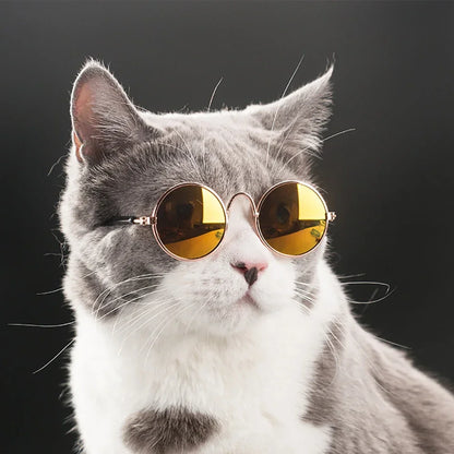 Pet Cat Dog Glasses Pet Products for Little Dog Cat Eye Wear Dog Sunglasses