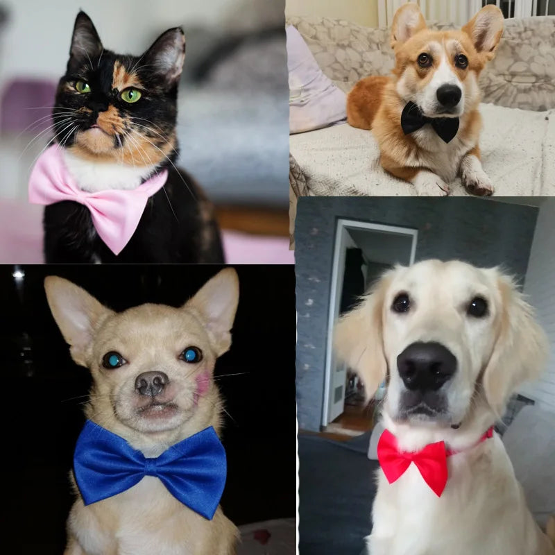 Pet Dog Necklace Formal Necktie Adjustable Bow Tie Portable Collar For Dog Accessories Suit For Small Medium Dog And