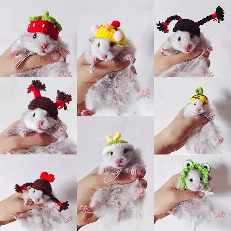 Hamster Hat Guinea Pigs Accessories Small Animals Decor Hand Knitted Pet Hats Lizard Bird Rabbit Party Clothes Costume Pet Caps