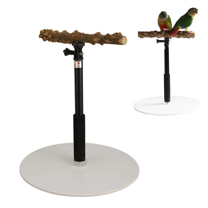 Adjustable Bird Perch Portable Detachable Play Stand for Indoor Outdoor Traveling