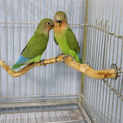 Natural Parrot Climbing Bird Standing Branches Toys Birdcage Accessories