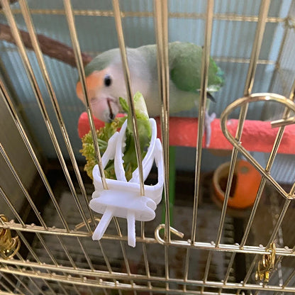 Cute Small Pet Bird Food Holder