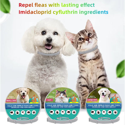 Dog Anti Flea And Ticks Cats Collar Pet 8Month Protection Retractable Pet Collars