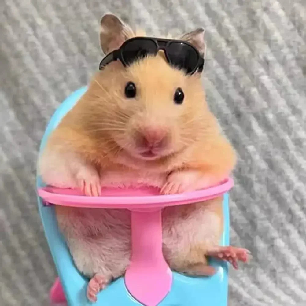 Pet Mini Feeding Chair Dining Hamster