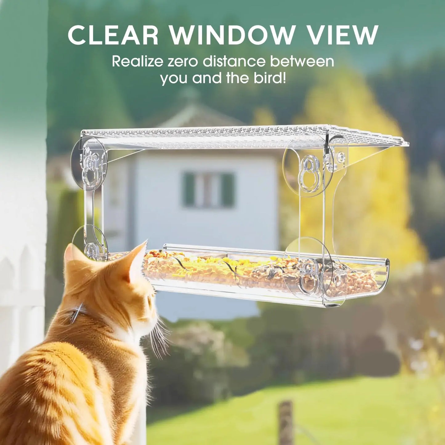 Clear Window Viewing Bird Feeder