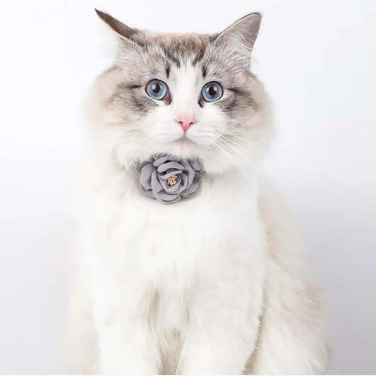 Adjustable Bow Tie for Cats and Dogs