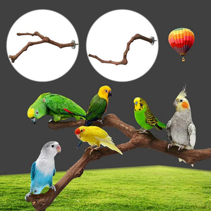 Pet Standing Stick Wild Grape Wood Pole Parrot Cockatiel Parakeet Perches