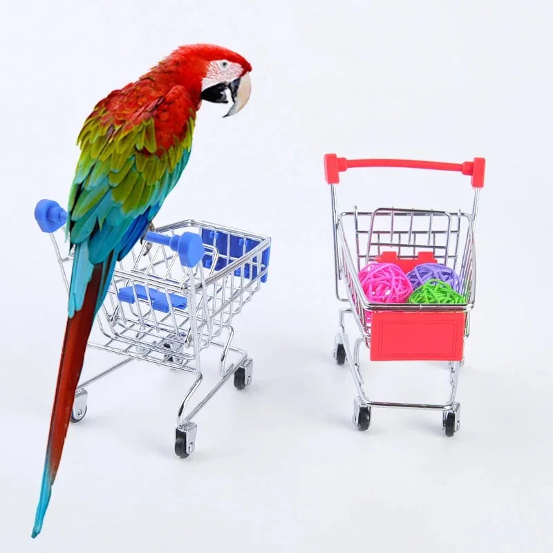 Bird Training Toy Supplies Basketball Stand Lovebird Shopping Cart Bird Toy Shoes Canary Skateboard Parrot Toy Accessories