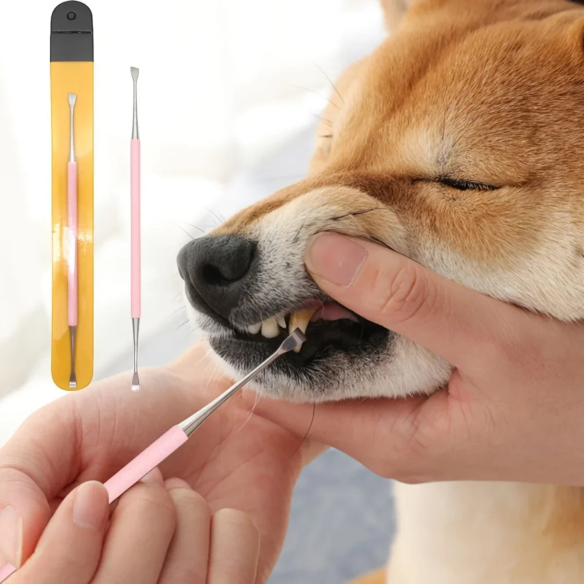 1PC -Pet dog toothbrush, pet