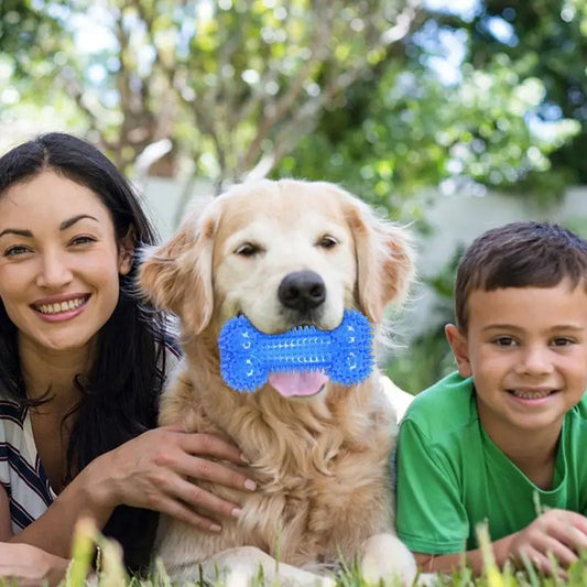 Durable Dog Toy with Bone-Piercing Shape for Teeth Cleaning and Molar Stimulation