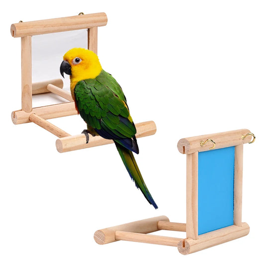 Bird Mirror Wooden Interactive Play Toy