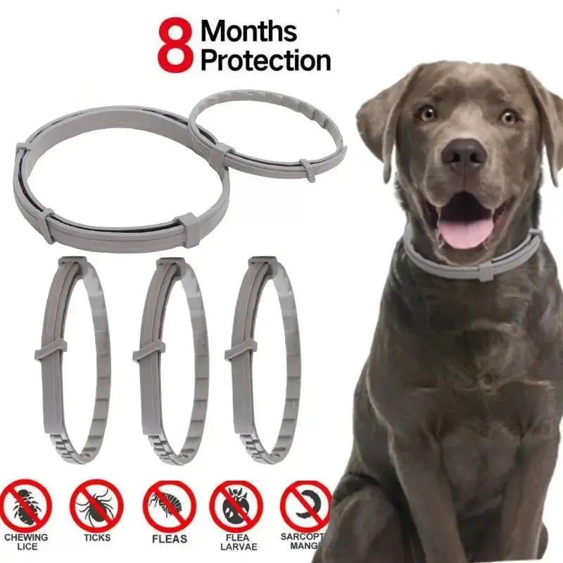 Dog Anti Flea And Ticks Collar