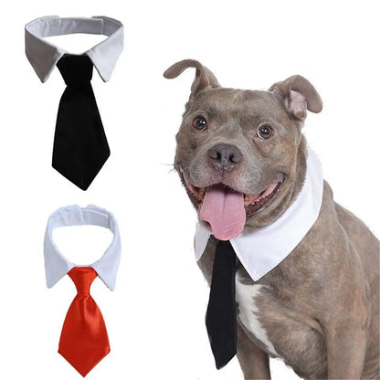 Pet Dog Formal Necktie Tuxedo Bow Tie Black and Red Collar