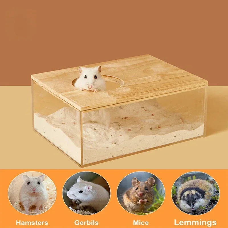 Hamster Bathroom House Sandbox Full Transparent Urine Sand Basin Golden Bear