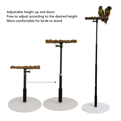 Adjustable Bird Perch Adjustable Bird Perch Portable Detachable Parrot Play Stand