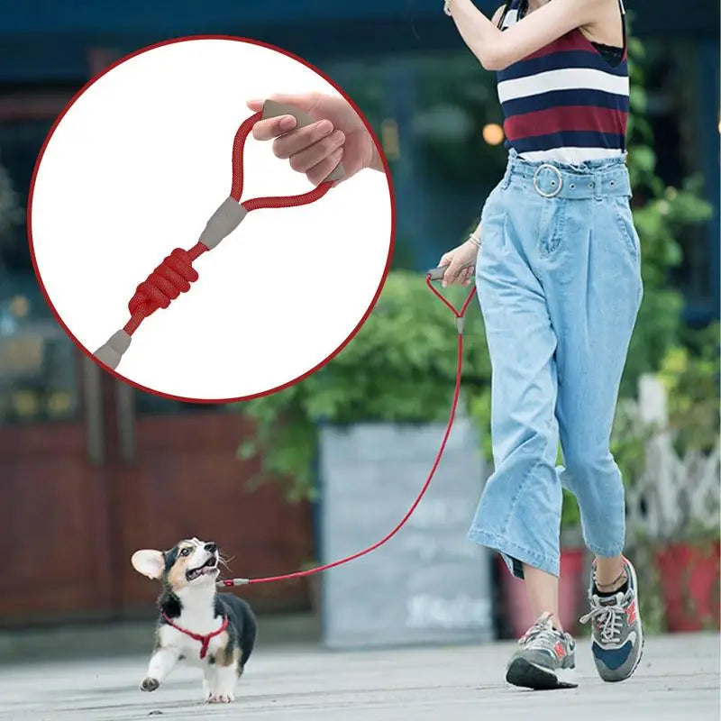 Double-Headed 360 Degree Rotatable Dog Walking Rope Leash