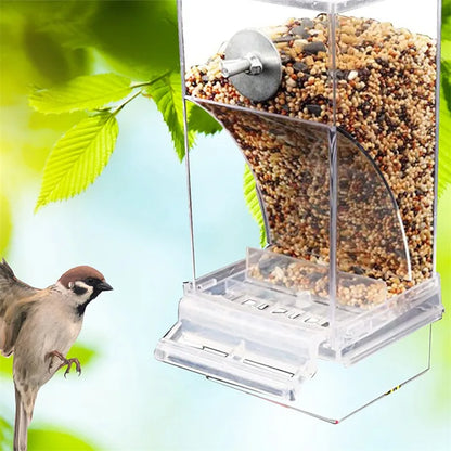 Bird Feeders Automatic Parrot Feeder Drinker Acrylic Seed Food Container Cage Accessories For Small And Medium Parakeets