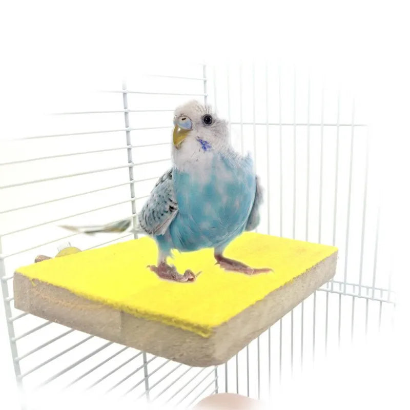 Pet Parrot Bird Toys Perch Stand Holder Platform