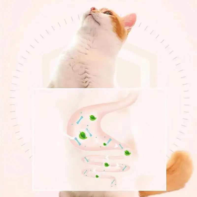 Rotatable Wall Mountable Edible Catnip Ball for Cats, Promotes Teeth Cleaning