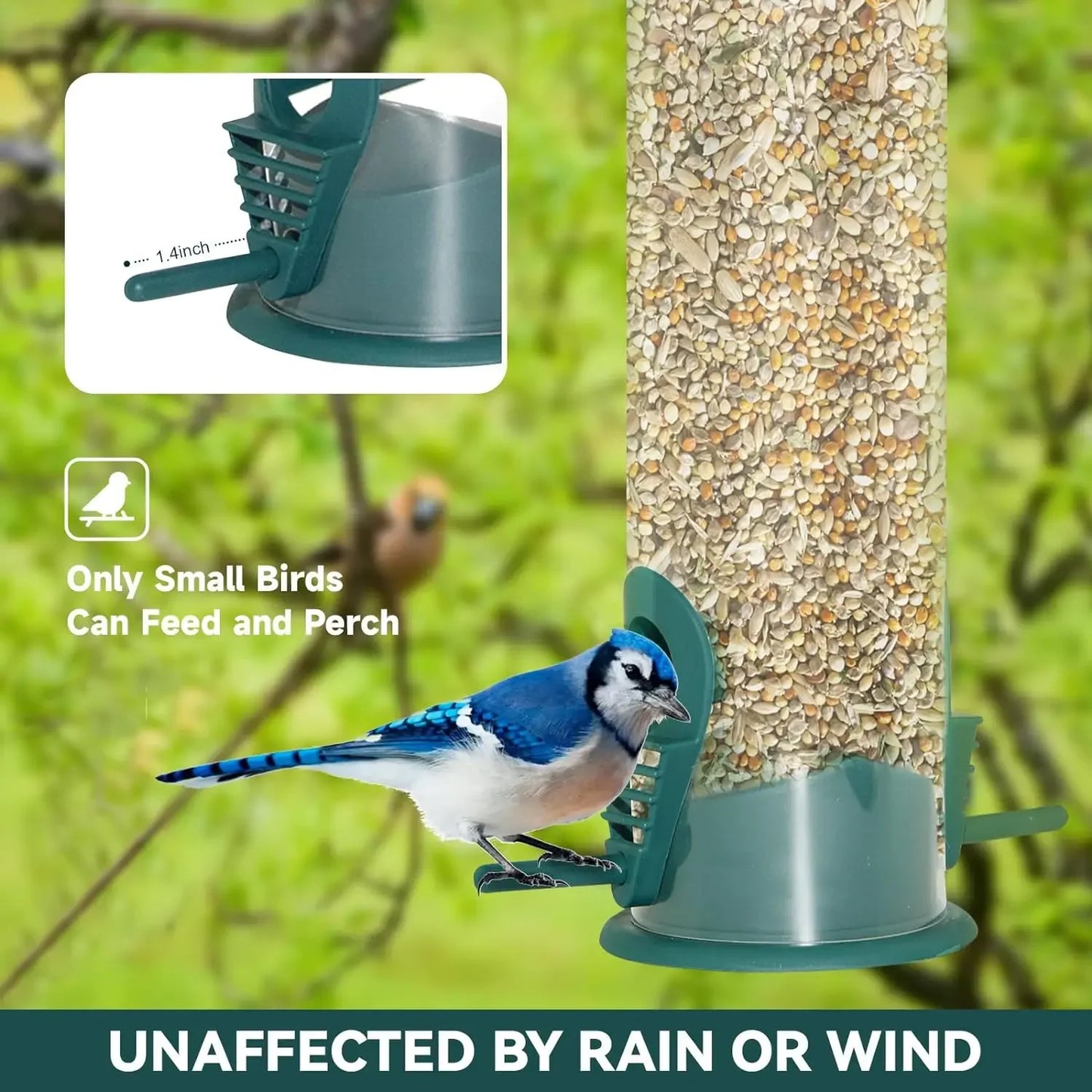 Outdoor Hanging Bird Feeder