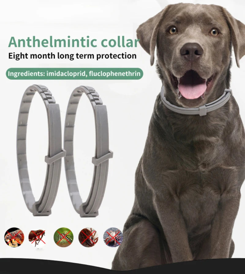 Dog Anti Flea And Ticks Collar