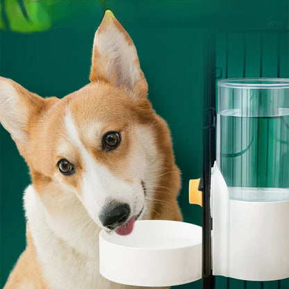 Automatic Pet Feeder