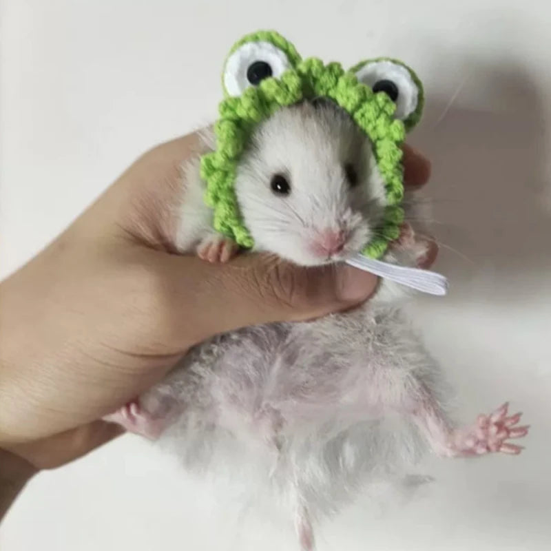 Cute Handmade Knitted Hat Hamster Decoration Chipmunk Guinea Pig Hamster Accessories Hamster Toy Hamster Supplies Small Pet Hat