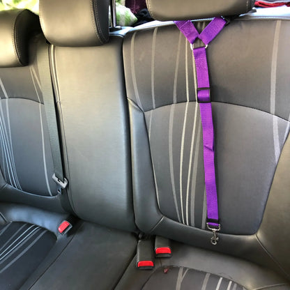 Pet Car Seat Belt Nylon Lead Leash Backseat Safety Belt Adjustable Dogs Harness Collar Pet Accessories