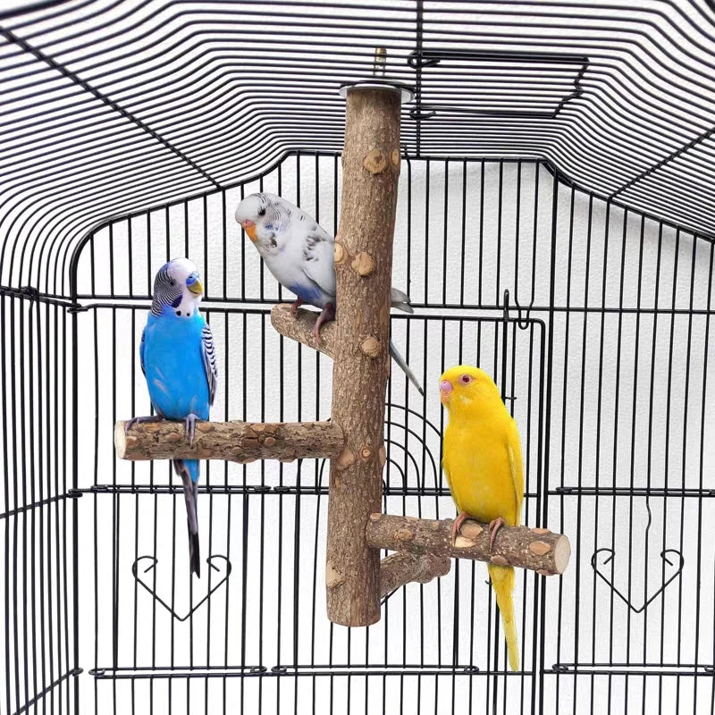 Parrot Perch Bird Perches Stand for Parakeets