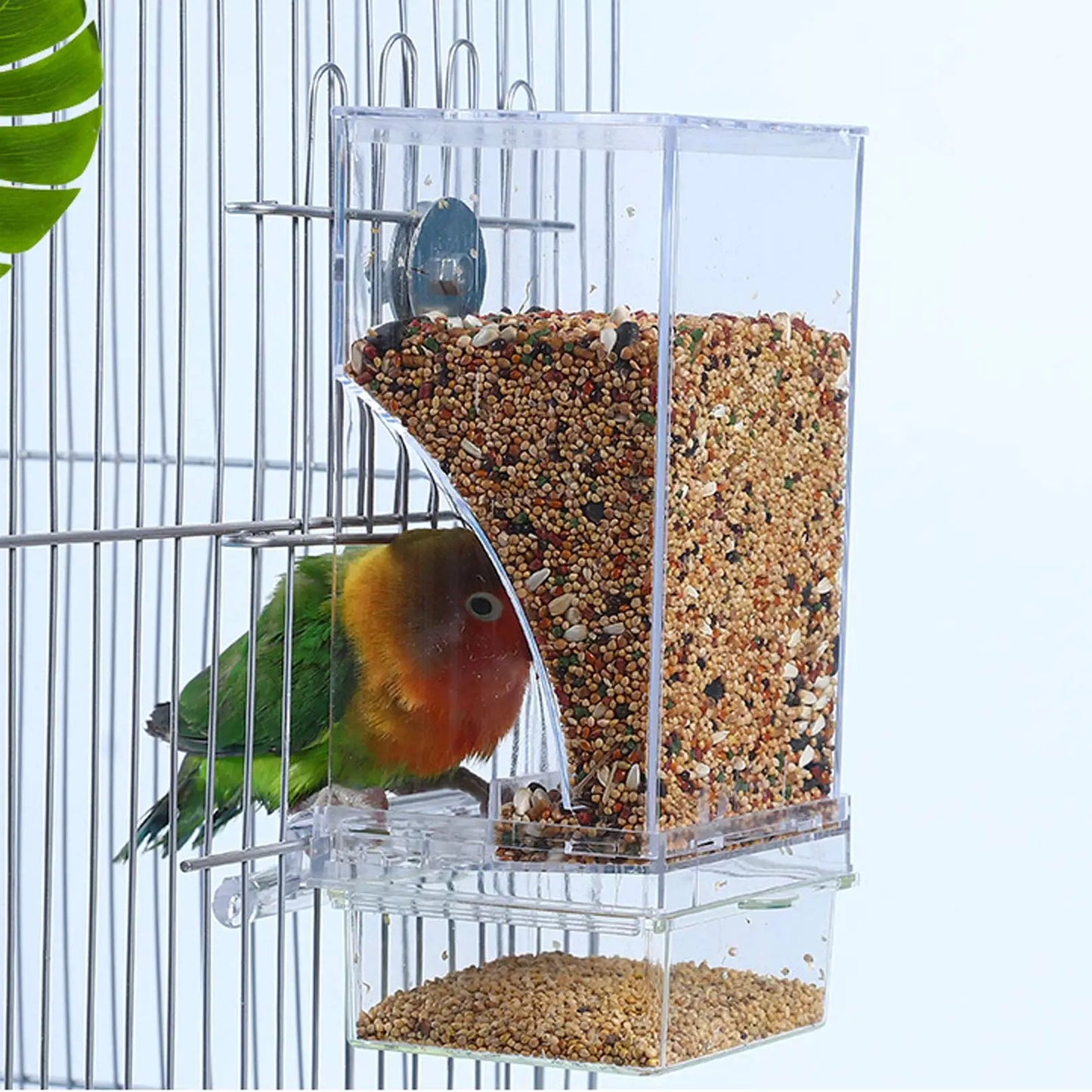 Bird Feeders Automatic Parrot Feeder Drinker Acrylic Seed Food Container Cage Accessories For Small And Medium Parakeets