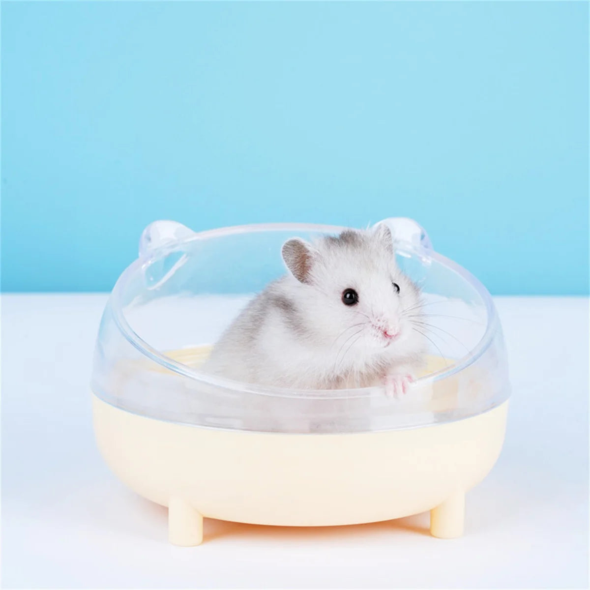 Hamster Bathroom House Sandbox Full Transparent Urine Sand Basin Golden