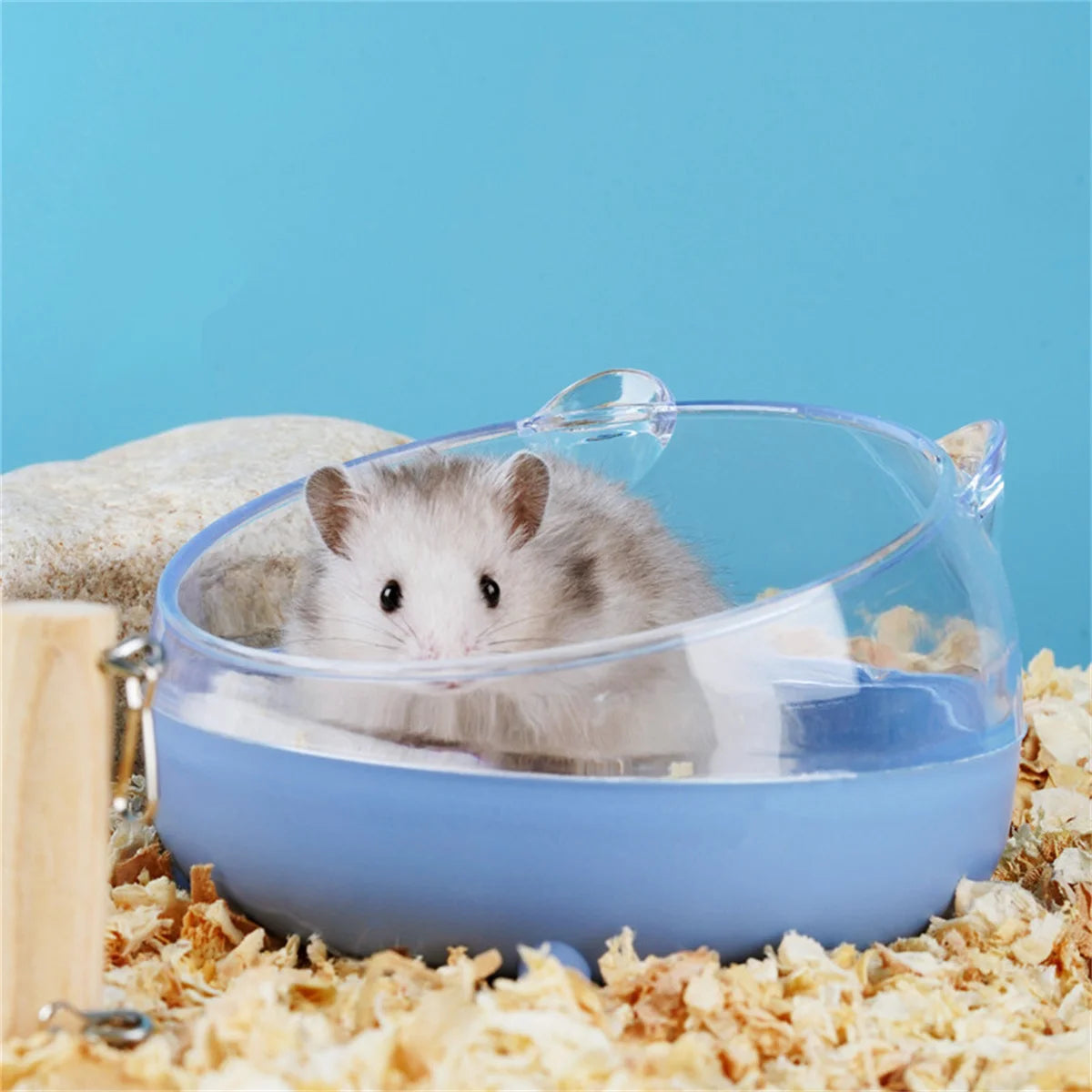 Hamster Bathroom House Sandbox Full Transparent Urine Sand Basin Golden