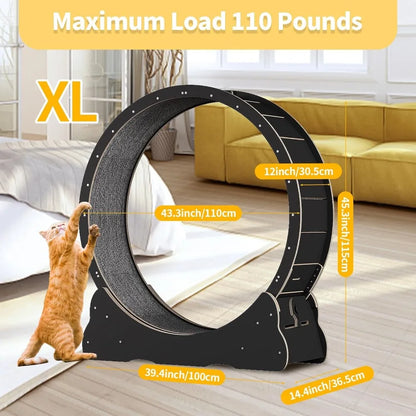 Accessories for Cats Cat Wheel Cat Exercise Wheel for Indoor Cat Pulsive and Training