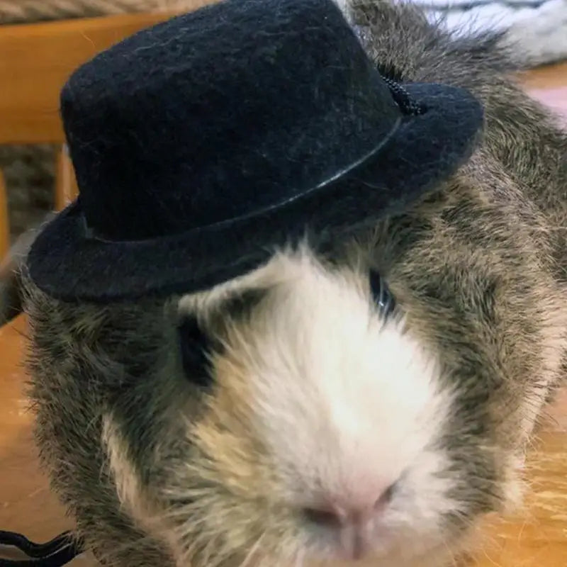 Hat For Small Animals Hamster Top Hat Breathable Rabbit Guinea Pig Hamster Totoro Pets Funny Accessories Stylish Costume