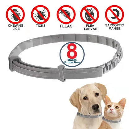 Dog Anti Flea And Ticks Cats Collar Pet 8Month Protection Retractable Pet Collars