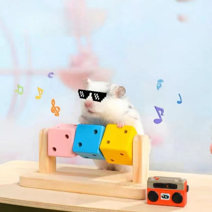 Cube Hamster Toys